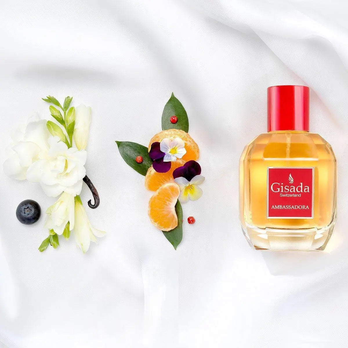 Ambassadora - Gisada.com